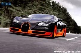 大亚湾绿化,提升助力城,市美学与活,OD体育官网,OD体育平台,OD体育链接,OD体育官方