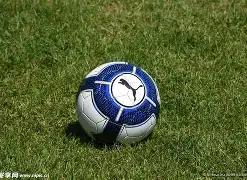 年度中国体,育十大新闻,评选揭晓,OD体育官网,OD体育平台,OD体育链接,OD体育官方