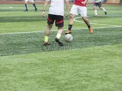 激情解析,德甲战报速,比分揭秘,OD体育官网,OD体育平台,OD体育链接,OD体育官方