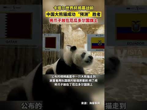 体育,产品,od体育,OD体育官网,OD体育平台,OD体育链接,OD体育官方