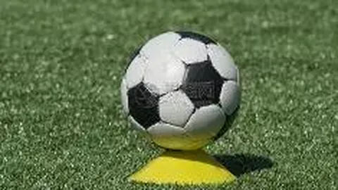 胡梅尔斯助多特蒙德2-0胜巴黎，晋级欧冠决赛